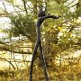 Joseph Wheelwright, "Jaunty Hornbeam," cast bronze, 9 feet tall. [OUTSIDE] 